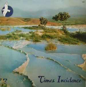 Pochette de Times Incidence de Alan Feanch