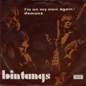 Pochette de I'm on My Own Again de Bintangs