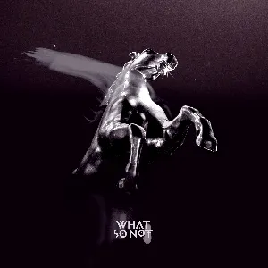 Pochette de Stuck in Orbit de What So Not