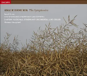 Pochette de The Symphonies de DR SymfoniOrkestret - Thomas Dausgaard - Helsingborgs Symfoniorkester