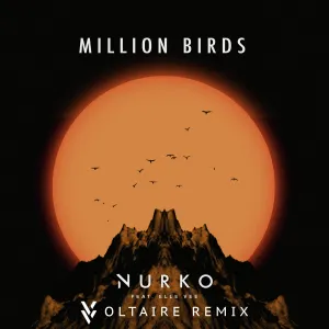 Pochette de Million Birds (Voltaire remix) de NURKO