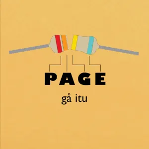 Pochette de Gå itu de Page