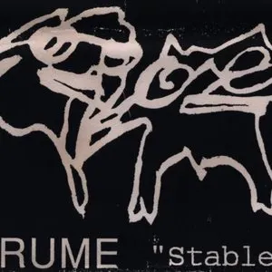 Pochette de Stable de Brume