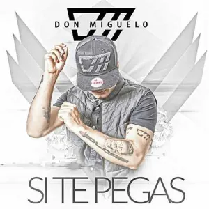 Pochette de Si Te Pegas de Don Miguelo