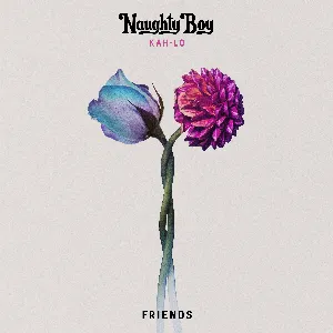 Pochette de Friends de Naughty Boy