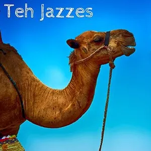 Pochette de Teh Jazzes de Kevin MacLeod