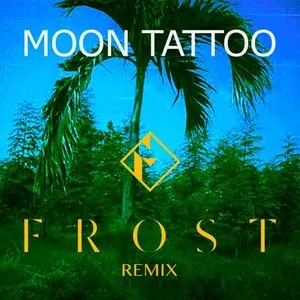 Pochette de Moon Tattoo (Frost remix) de Sofi Tukker