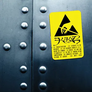 Pochette de Acidity de Kekal