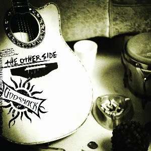 Pochette The Other Side