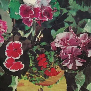 Pochette de MRR de John Wiese