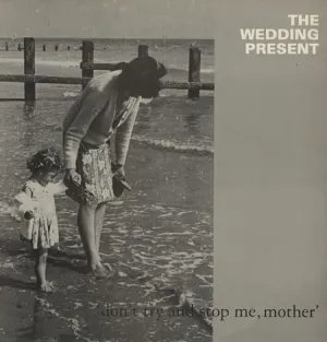 Pochette de Don’t Try and Stop Me, Mother de The Wedding Present