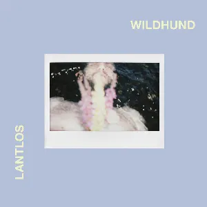 Pochette de Wildhund de Lantlôs