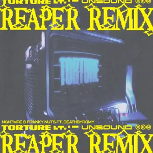 Pochette de Torture (REAPER remix) de NGHTMRE