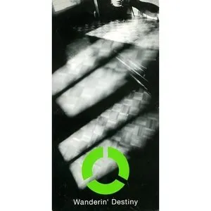 Pochette de Wanderin' Destiny de globe