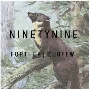 Pochette de Further de Ninetynine