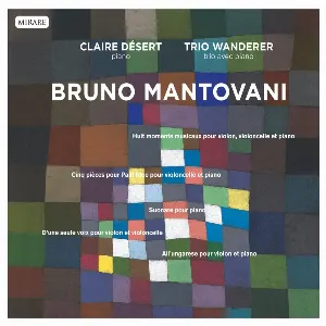 Pochette de Chamber Music de Trio Wanderer - Claire Désert