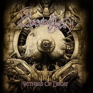 Pochette de Witness of Decay de Conceived by Hate