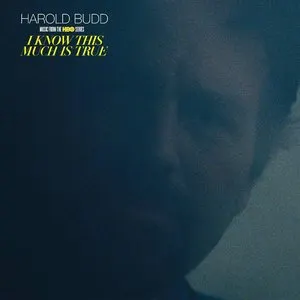 Pochette de I Know This Much Is True (Music From The HBO Series) de Harold Budd