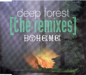 Pochette Boheme (The Remixes)