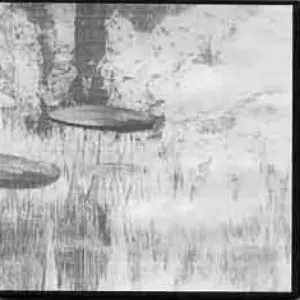 Pochette de Atlantic Woman de Ignatz
