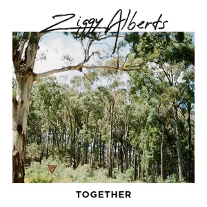 Pochette de Together de Ziggy Alberts