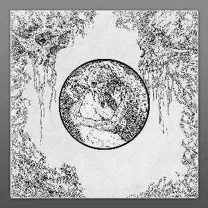 Pochette de Peeled Veins de Spectral Voice