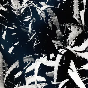 Pochette de Void VII de Chihei Hatakeyama