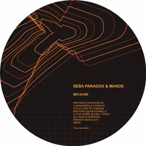 Pochette de Because / Lie to Me de Paradox - Seba