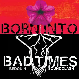Pochette Born Into Bad Times (radio mix)