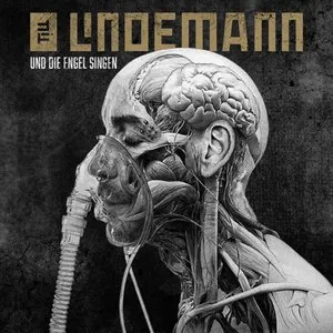 Pochette de Und die Engel singen de Till Lindemann