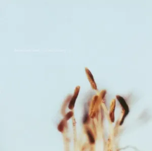 Pochette de A Lifetime or More de The Album Leaf
