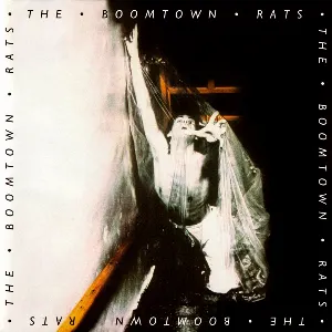 Pochette The Boomtown Rats