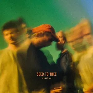 Pochette de Proportions de Seed to Tree