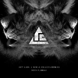 Pochette de Hey Lion (Tom & Collins remix) de Sofi Tukker