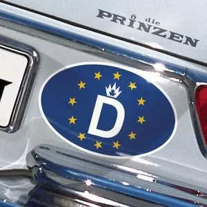 Pochette de D de Die Prinzen