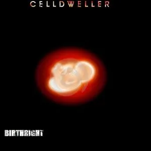 Pochette de Birthright de Celldweller