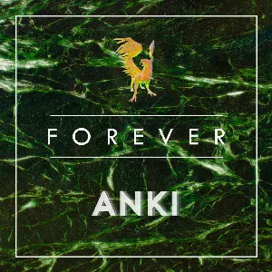 Pochette de Forever de Anki