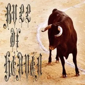 Pochette de 302: It Is Part of Space and Time de Bull of Heaven