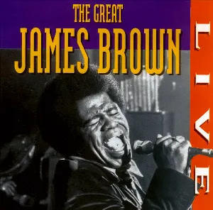 Pochette The Great James Brown Live