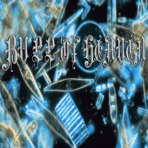 Pochette de 201: How Strangely Still the Water Is Today de Bull of Heaven