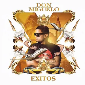 Pochette de Éxitos de Don Miguelo