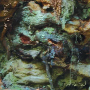 Pochette de Raw Is Real de Dali's Llama