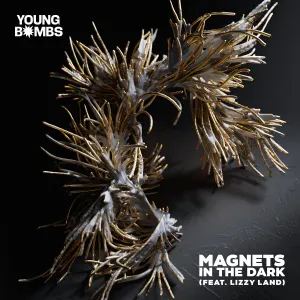 Pochette de Magnets in the Dark de Young Bombs