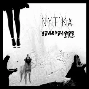 Pochette de Would You Know Yet More? de Nytt Land