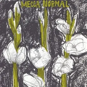Pochette de The First LP de Mecca Normal