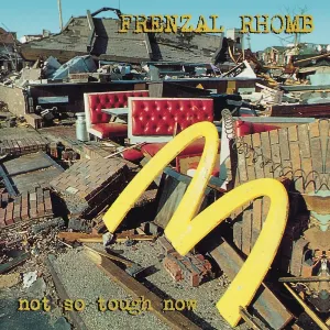 Pochette de Not So Tough Now de Frenzal Rhomb