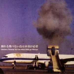 Pochette de 溺れる飛べない鳥は水羽が必要 (Yodo-Go-A-Go-Go) de Les Rallizes Dénudés