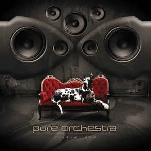 Pochette de Singin' Dog de Pure Orchestra