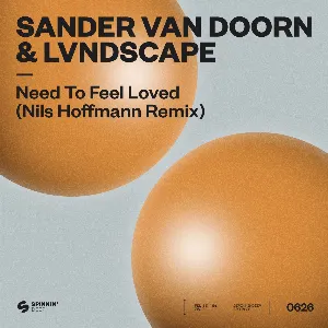 Pochette de Need to Feel Loved Nils (Hoffmann extended) de Sander van Doorn