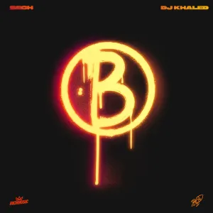 Pochette de Borracho de DJ Khaled - Sech